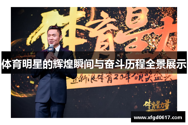 体育明星的辉煌瞬间与奋斗历程全景展示