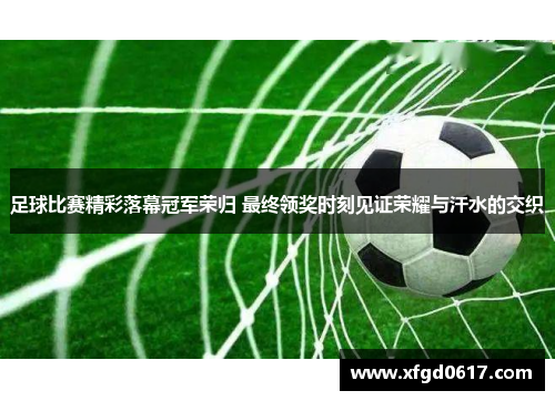 足球比赛精彩落幕冠军荣归 最终领奖时刻见证荣耀与汗水的交织